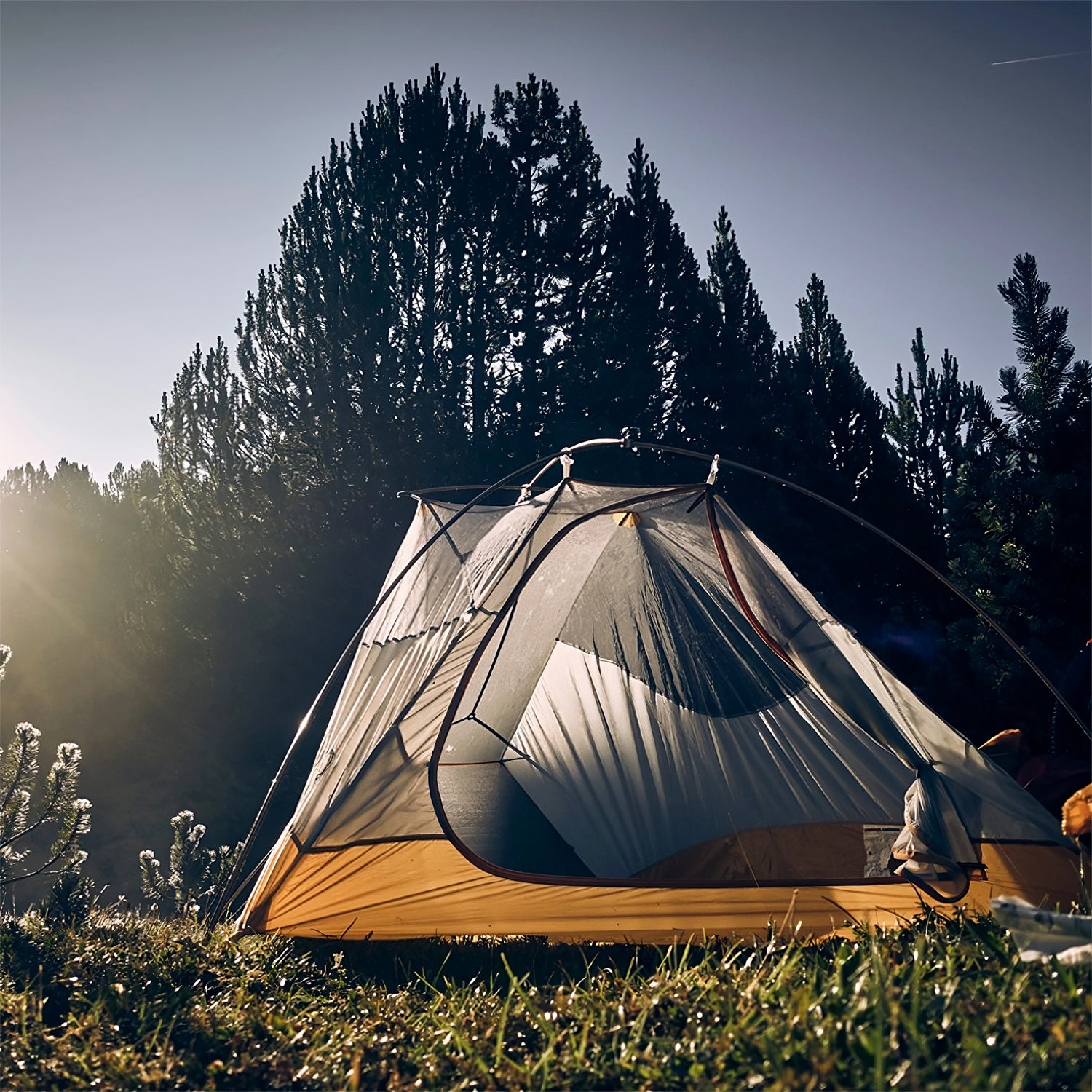 Camping & Outdoor