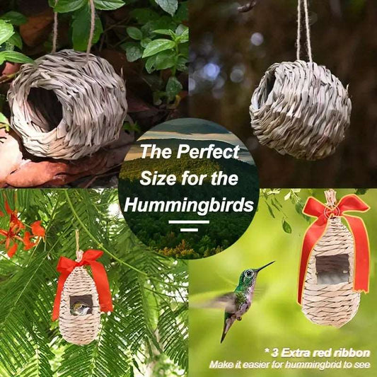 Hummingbird House (✨5-pack✨)