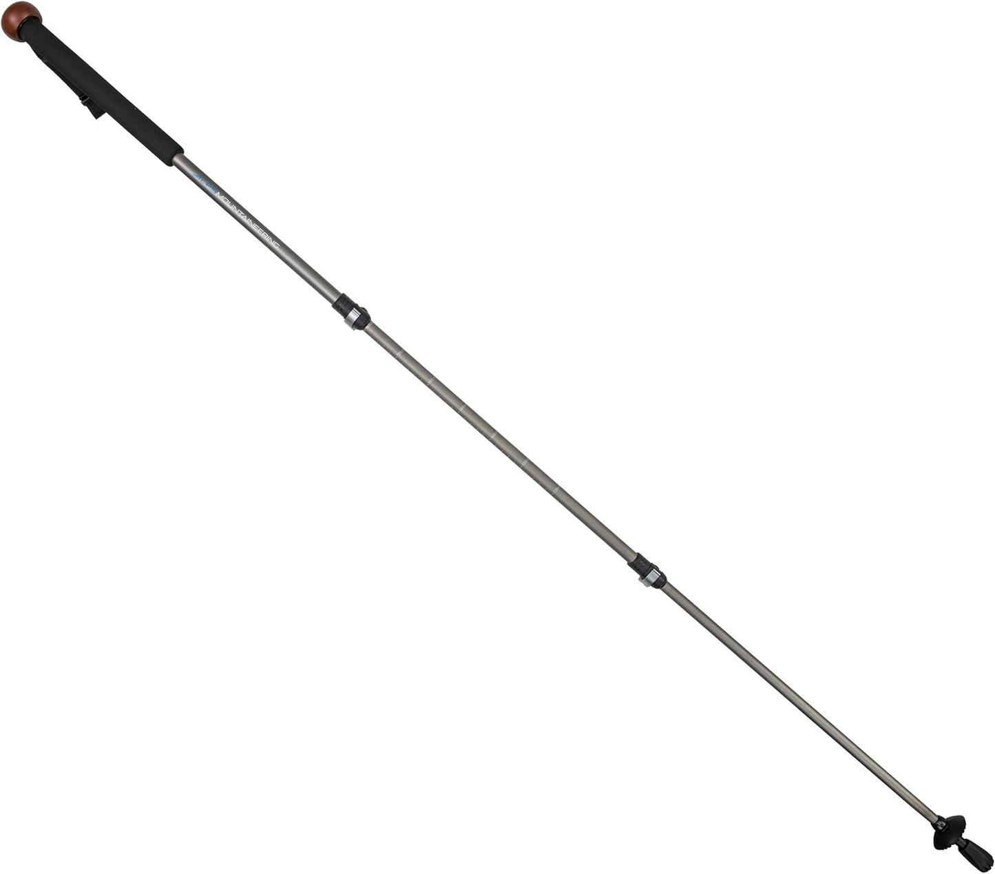 FJUN Classic Black Trekking Pole Walking Stick